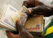 Meaning of Naira Multilation: Understanding the Damage and Implications